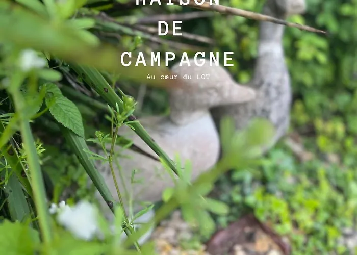 Caramel - Piscine - Vue * Fargues (Lot)